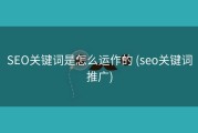 SEO关键词是怎么运作的 (seo关键词推广)
