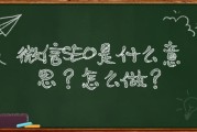 SEO是什么 意思 详细是指什么 (seo是什么意思)
