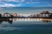 百度推广中关键词如何划分 (百度推广中关键词质量度如何提高)