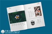 主要词内页排名怎样算