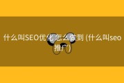什么叫SEO优化 怎么做到 (什么叫seo推广)