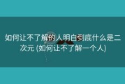 如何让不了解的人明白到底什么是二次元 (如何让不了解一个人)
