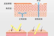 怎样一键修复含糊的照片恢复照片明晰度的app (怎样一键修复老照片)