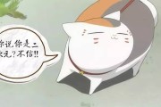二次元测试：这些定义你都能答对吗？快来挑战吧
