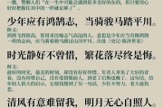 我想自己修正代码seo优化 之前公司的网站制造外包 须要交接那些内容 (我想修行)