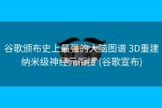 谷歌颁布史上最强的大脑图谱 3D重建纳米级神经元衔接 (谷歌宣布)