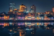 怎样在成都市社保局网上查缴费明细 (怎样在成都市办理居住证流程)
