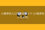 小程序的入口究竟有多少个 (小程序的入口文件)