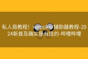 私人局教程！wepoker辅助器教程-2024新普及确实是有挂的-哔哩哔哩