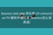 bounce rate rate 转化率 UV conversion PV 解析IP 跳出率 (bounce怎么读英语)