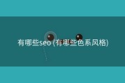 有哪些seo (有哪些色系风格)