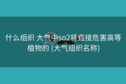 什么组织 大气中so2将直接危害高等植物的 (大气组织名称)