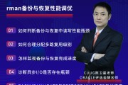 怎样应用SEO去赚钱 (怎样应用色谱法分离大黄酚和大黄素甲醚)