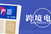2020 年新冠疫情下，跨境电商独立站的崛起与运营之道