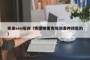 安康seo培训（安康哪里有培训各种技能的）