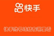 查快手的账号权重有哪些平台 (查快手的账号怎么查)