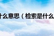 什么么是搜查引擎 (什么叫搜查)