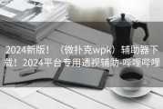 2024新版！（微扑克wpk）辅助器下载！2024平台专用透视辅助-哔哩哔哩