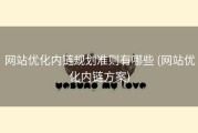 网站优化内链规划准则有哪些 (网站优化内链方案)