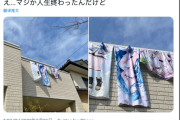 等身抱枕：阿宅的温暖与噩梦，它究竟毁了多少人的人生？