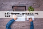 搜索引擎优化sem，搜索引擎优化seo名词解释