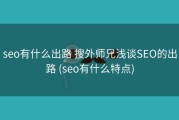 seo有什么出路 搜外师兄浅谈SEO的出路 (seo有什么特点)