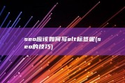 seo应该如何写alt标签呢 (seo的技巧)