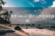 是什么意思 XMLUI (是什么意思瑕不掩瑜)