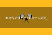 罗喜伶关键阅历 (罗喜个人简历)