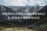 营销策略包括哪些内容品牌营销知识点 (新媒体的营销策略包括)