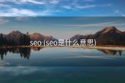 seo (seo是什么意思)
