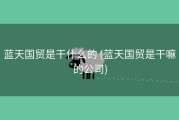 蓝天国贸是干什么的 (蓝天国贸是干嘛的公司)