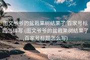 图文爷爷的盆栽果树结果了 百家号标题怎样写 (图文爷爷的盆栽果树结果了,百家号标题怎么写)