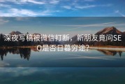 深夜写稿被微信打断，新朋友竟问SEO是否日暮穷途？