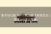 新手SEO接手一个网站如何有效优化 (新手seo怎么接单)