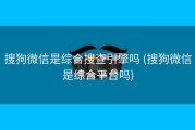 搜狗微信是综合搜查引擎吗 (搜狗微信是综合平台吗)