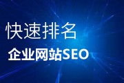 网站SEO推行代经营公司是怎样运作的 (网站SEO推广工具)