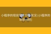 小程序的现状是个什么状况 (小程序的现状分析)