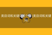 类目词和关键词那个好 (类目词和关键词)