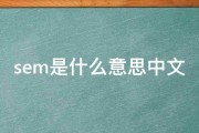SEM是什么意思?SEO和SEM的区别是什么? (sem是什么意思)