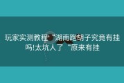 玩家实测教程“湖南跑胡子究竟有挂吗!太坑人了“原来有挂