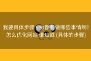 我要具体步骤 seo都要做哪些事情啊！怎么优化网站 谁知道 (具体的步骤)