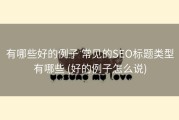 有哪些好的例子 常见的SEO标题类型有哪些 (好的例子怎么说)