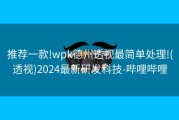 推荐一款!wpk德州透视最简单处理!(透视)2024最新研发科技-哔哩哔哩