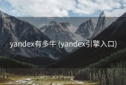 yandex有多牛 (yandex引擎入口)