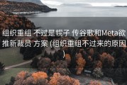 组织重组 不过是幌子 传谷歌和Meta欲推新裁员 方案 (组织重组不过来的原因)