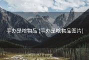 手办是啥物品 (手办是啥物品图片)