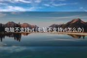 电脑不支持vt (电脑不支持vt怎么办)