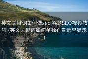 英文关键词如何做seo 谷歌SEO视频教程 (英文关键词如何单独在目录里显示)
