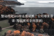 整站优化seo排名营销推广公司哪家靠谱 (整站优化全网营销)